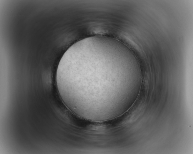 X0000092050639200709262010