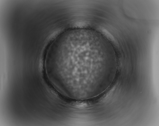 X0000092050640200709262010