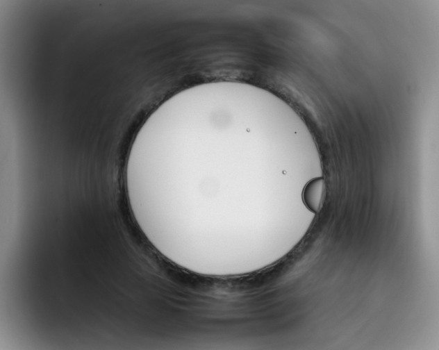 X0000092050641200709262010