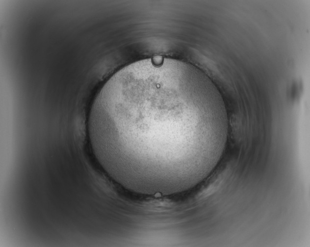 X0000092050642200709262010