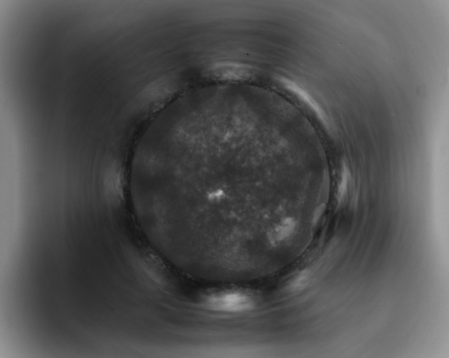 X0000092050643200709262010