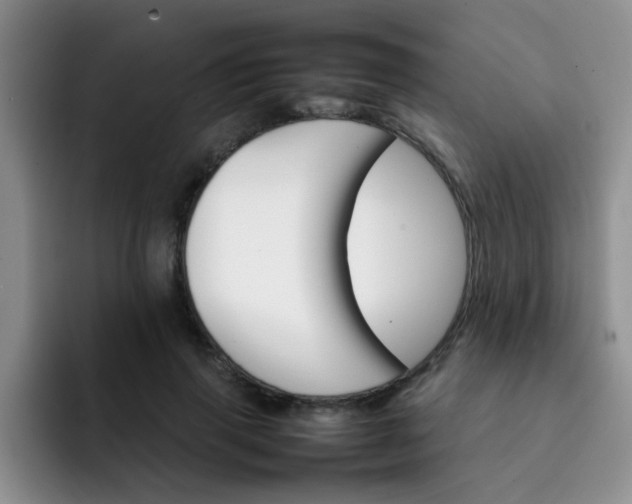 X0000092050645200709262010