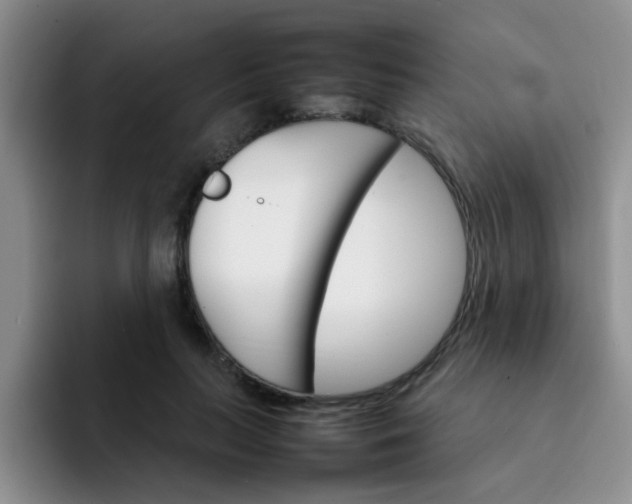 X0000092050647200709262010