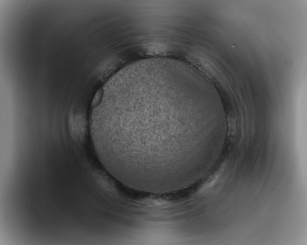 X0000092050648200709262010