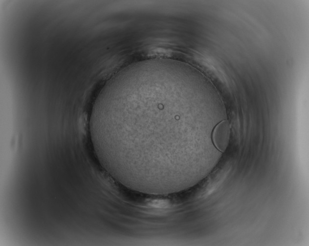 X0000092050649200709262010