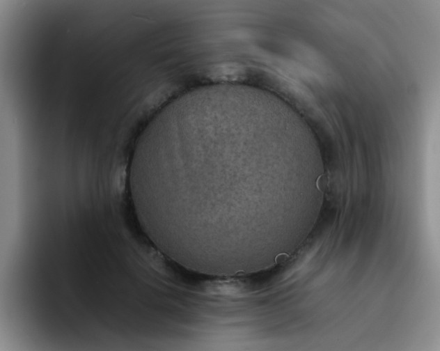 X0000092050652200709262010