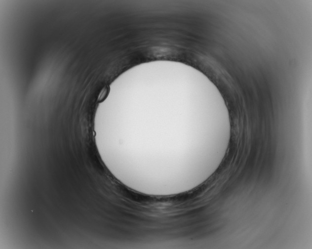 X0000092050653200709262010