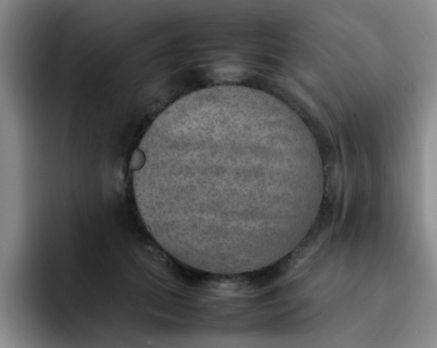 X0000092050655200709262010