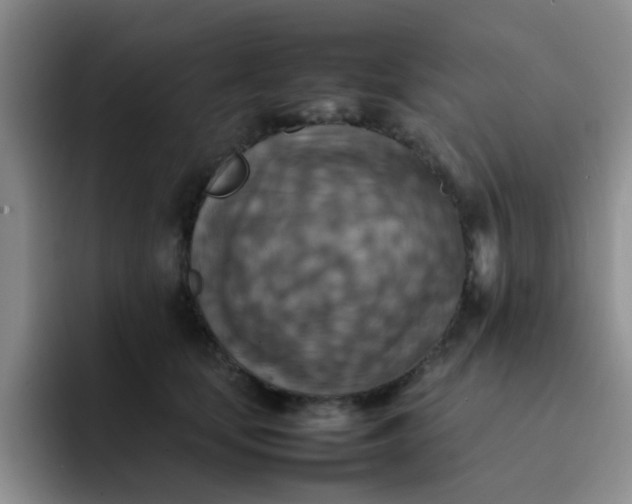 X0000092050659200709262010