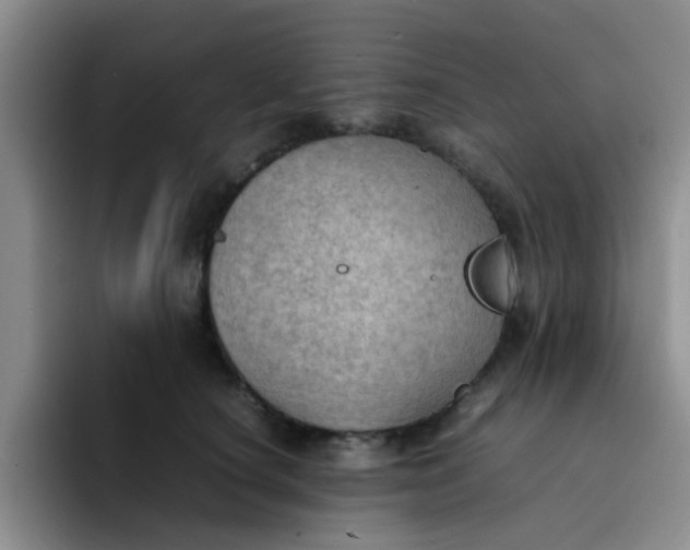 X0000092050660200709262010