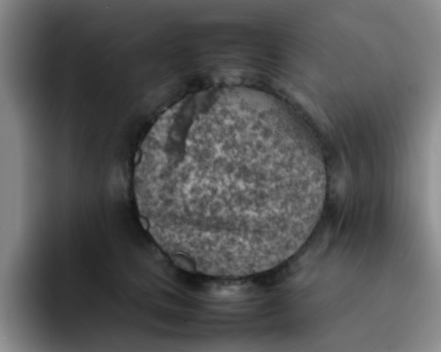 X0000092050661200709262010