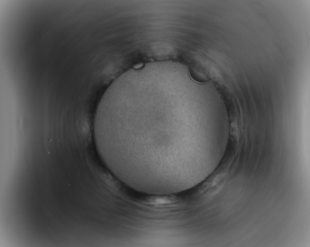 X0000092050662200709262010