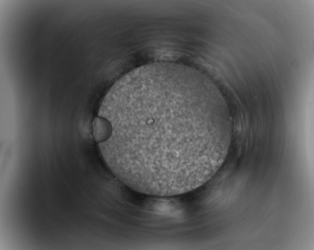 X0000092050663200709262010