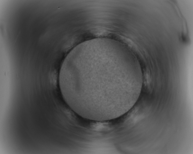 X0000092050664200709262010