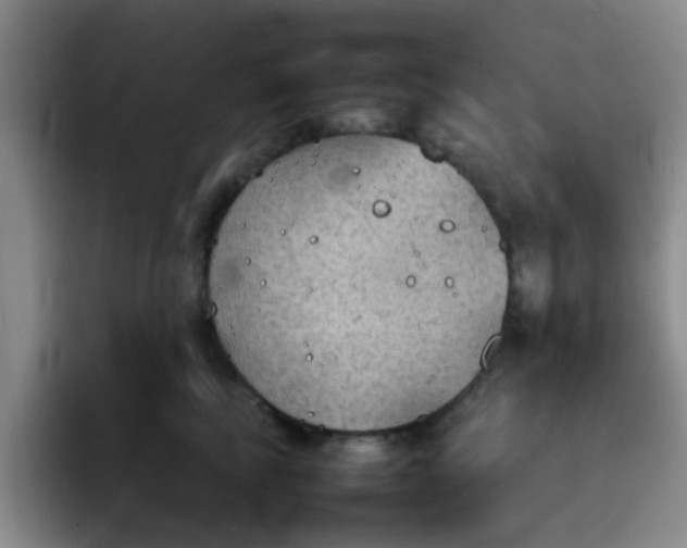 X0000092050665200709262010