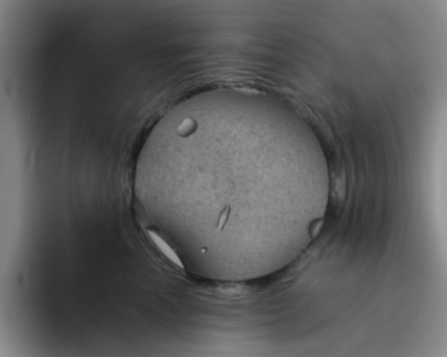 X0000092050666200709262011