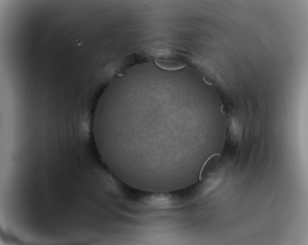 X0000092050668200709262011