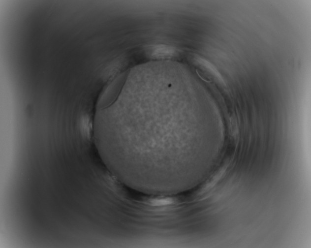 X0000092050669200709262011