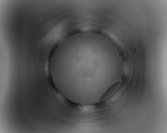 X0000092050670200709262011