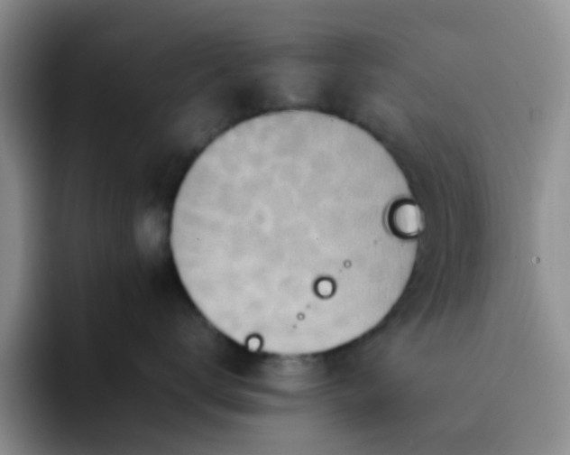 X0000092050672200709262011