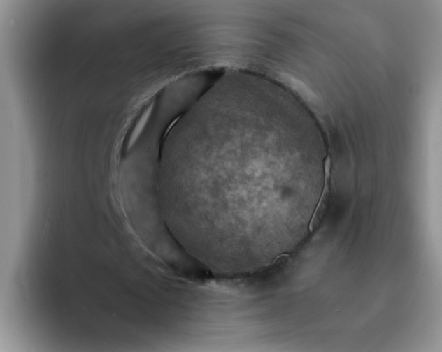 X0000092050673200709262010