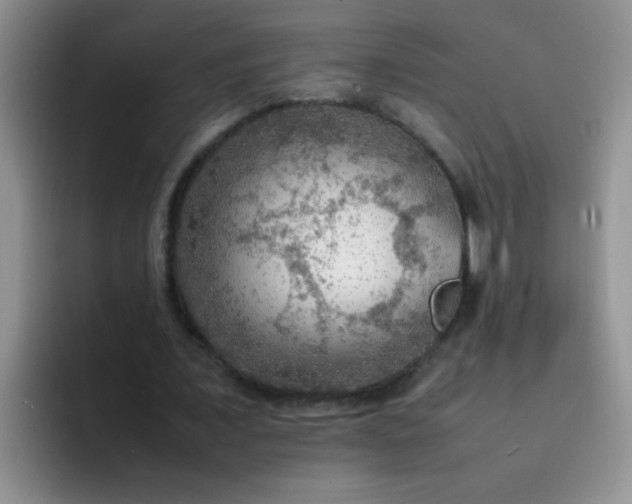 X0000092050675200709262010