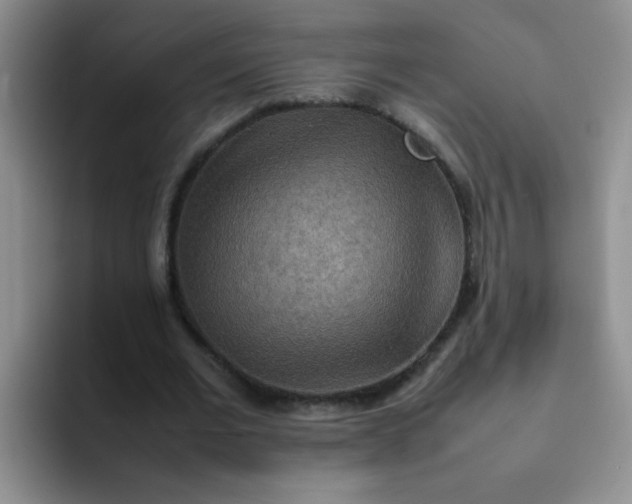 X0000092050677200709262010