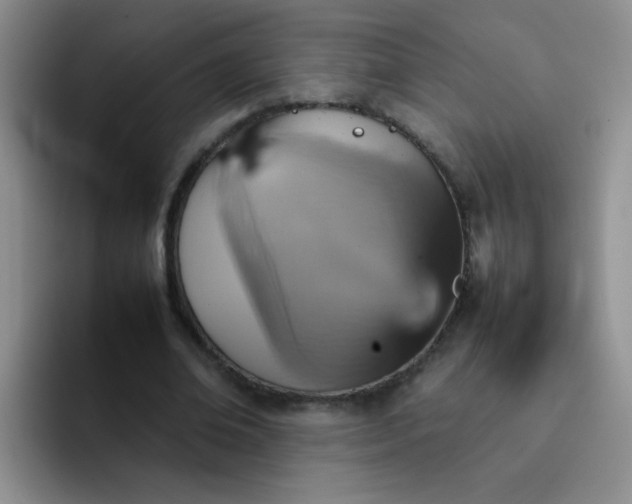 X0000092050678200709262010