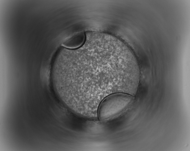 X0000092050679200709262010