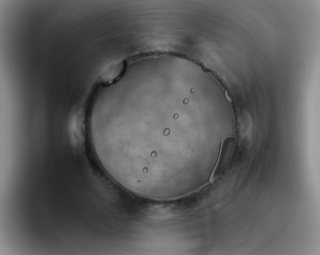 X0000092050680200709262010