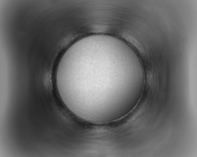 X0000092050682200709262010