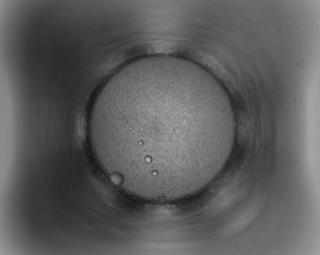 X0000092050683200709262010