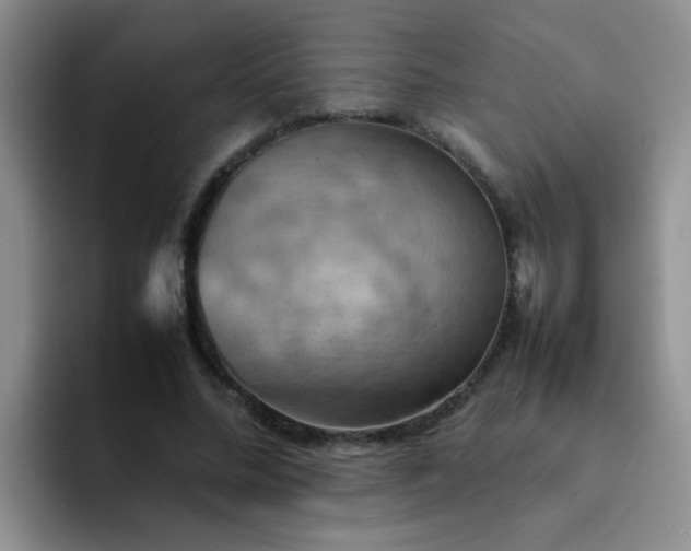 X0000092050684200709262010