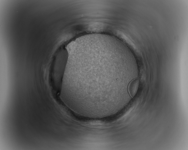 X0000092050685200709262010