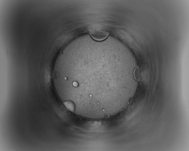 X0000092050687200709262010