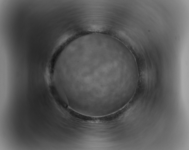 X0000092050688200709262010