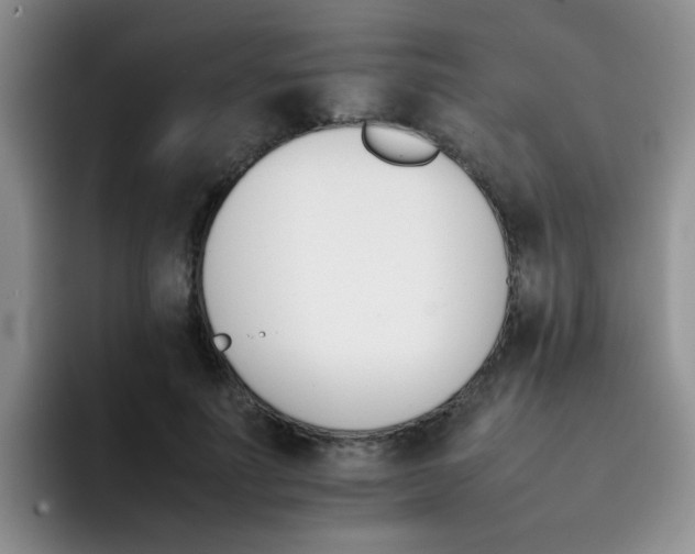 X0000092050691200709262010