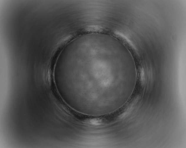 X0000092050692200709262010