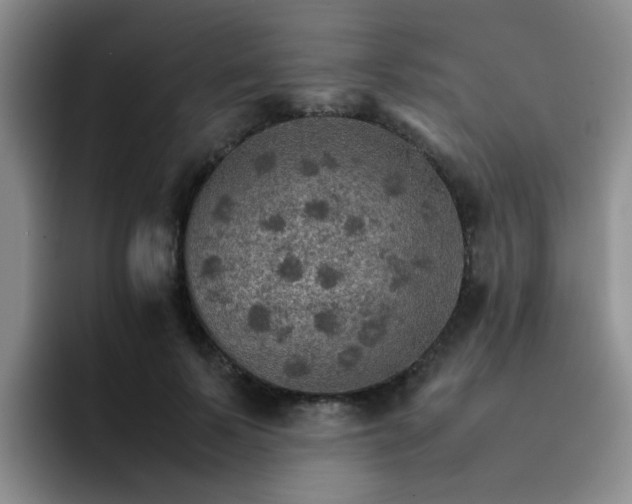 X0000092050695200709262010