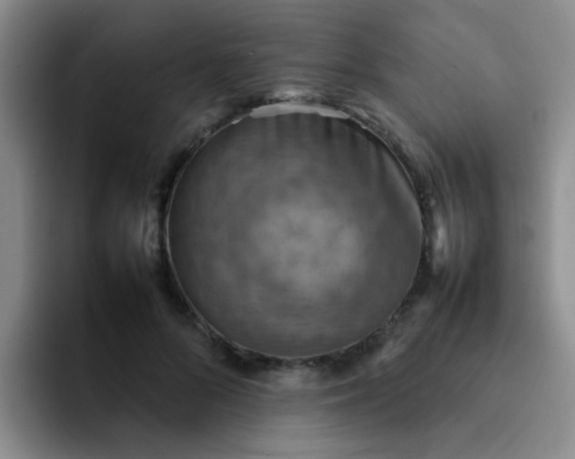 X0000092050696200709262010