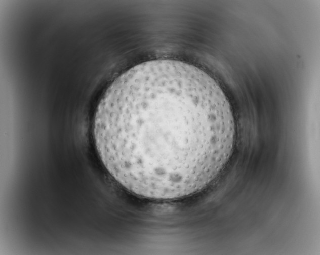 X0000092050698200709262010