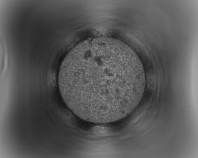 X0000092050699200709262010