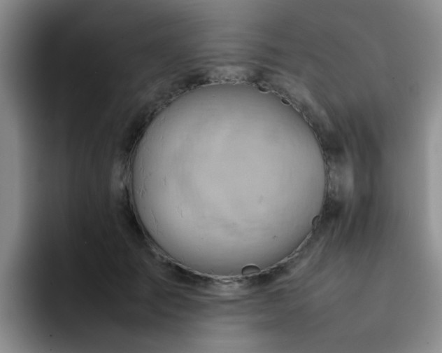 X0000092050701200709262010