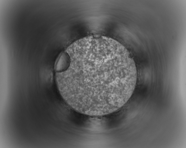 X0000092050703200709262010