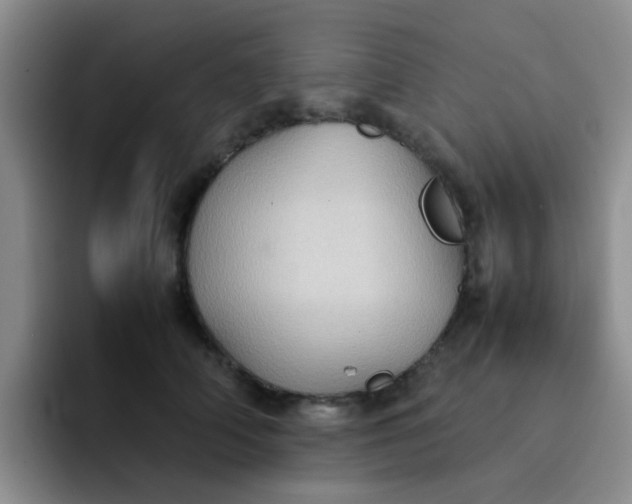 X0000092050706200709262010