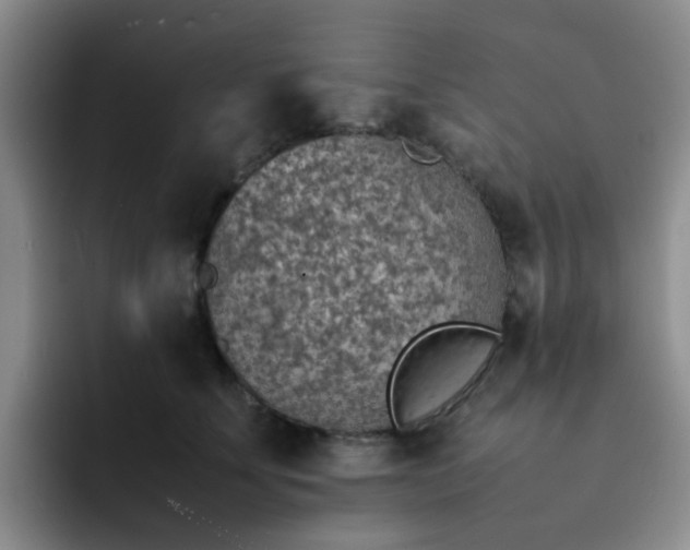 X0000092050707200709262010