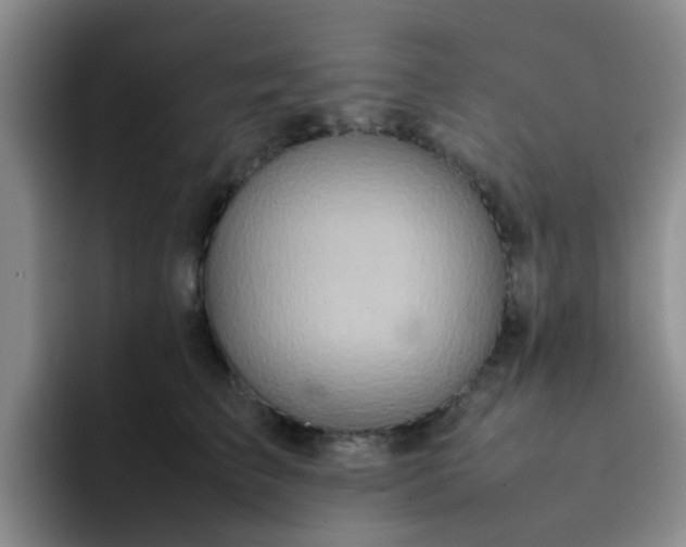 X0000092050709200709262010