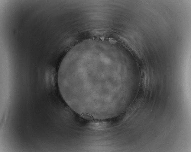 X0000092050712200709262010