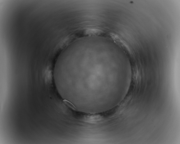 X0000092050716200709262010