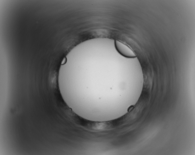 X0000092050717200709262009